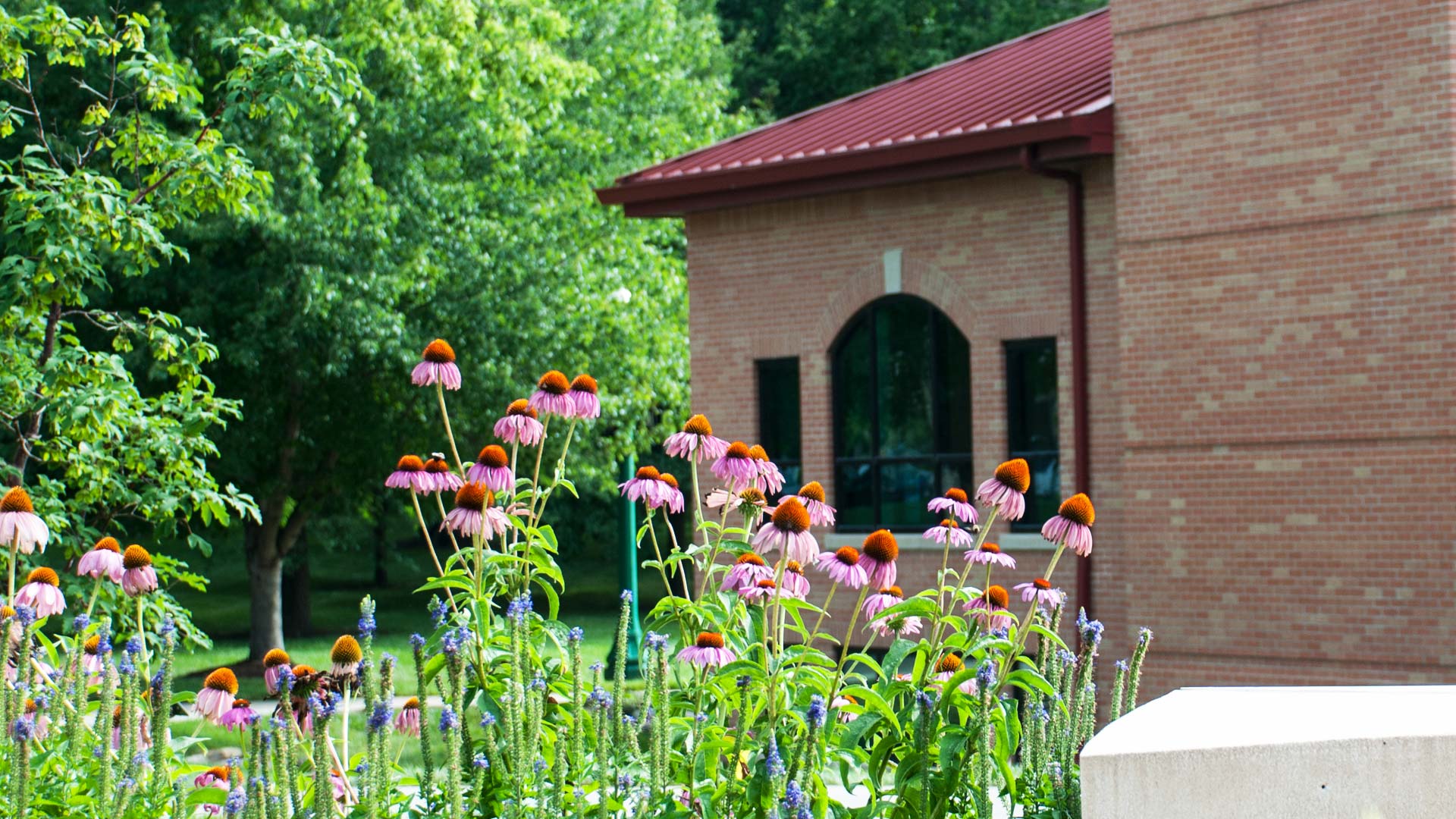 History, Mission & Vision at Baker University in Baldwin City, KS