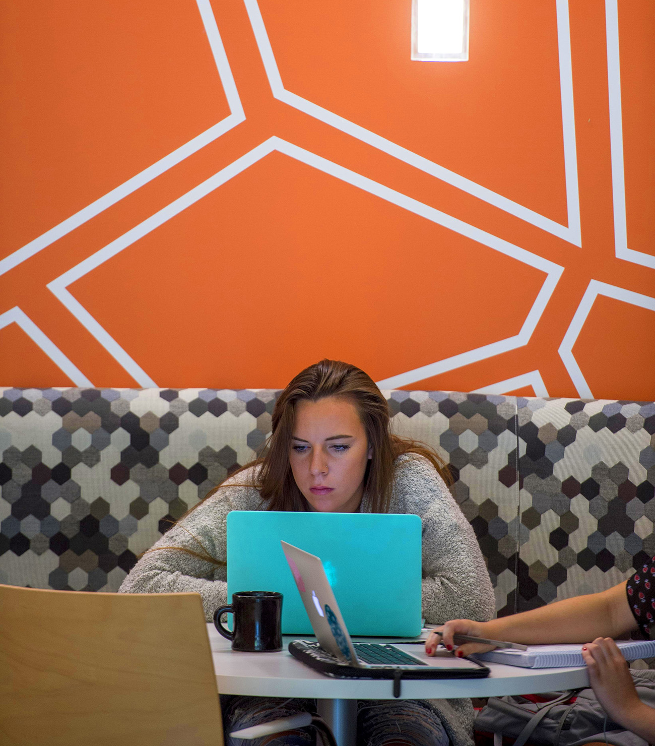 photo of a student studying on a laptop