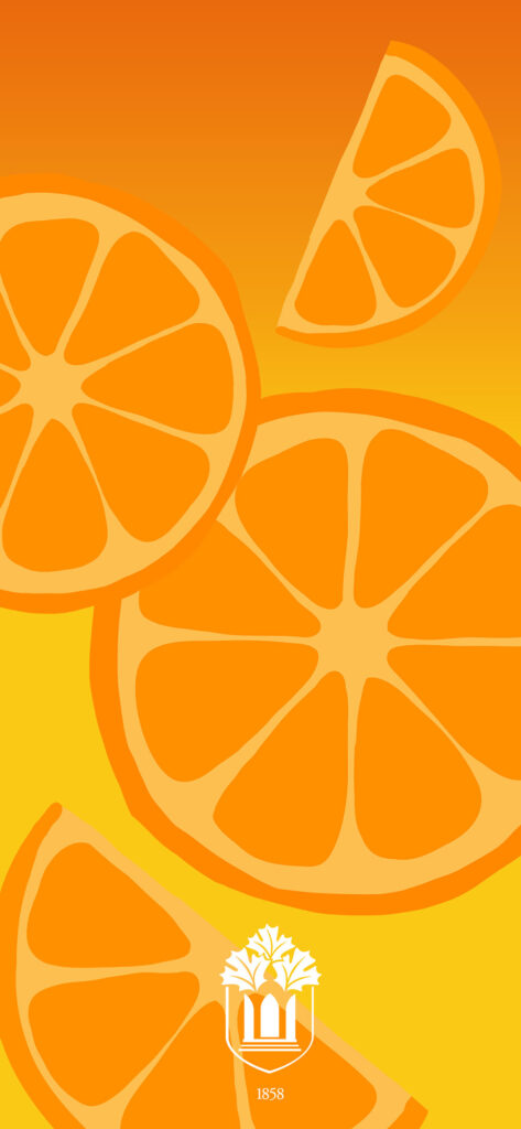 screensaver with orange slices