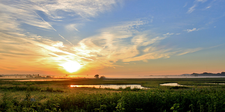 Sunrise at the Wetlands